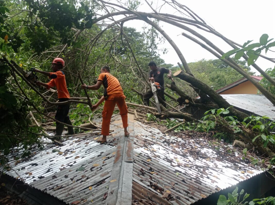 pohon tumbang yang menghambat akses jalan dan menimpa rumah warga, angin puting beliung yang merusak atap 18 rumah,