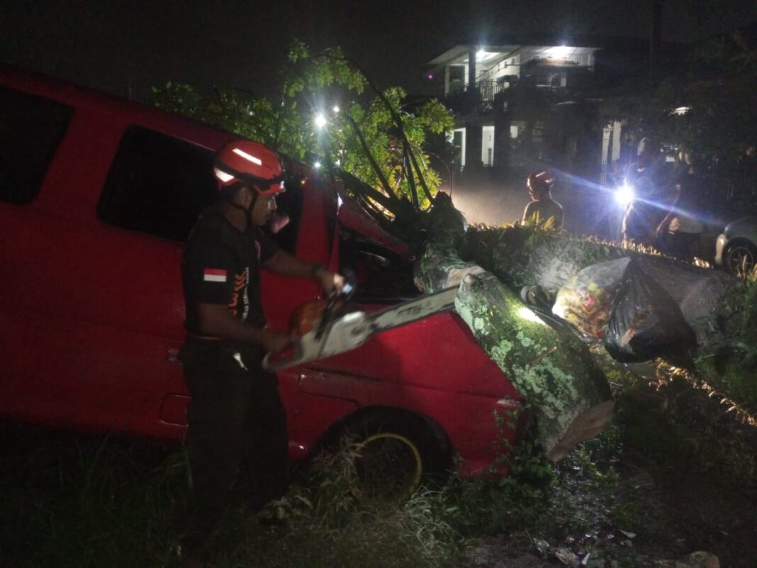 Pohon kedondong dengan panjang sekitar 15 meter dan diameter 75 cm itu tumbang, menimpa satu unit mobil Espass bernomor polisi BA 1406 IA yang sedang terparkir di lokasi kejadian. Mobil milik Leon (38) tersebut mengalami kerusakan berat (dok rizal)