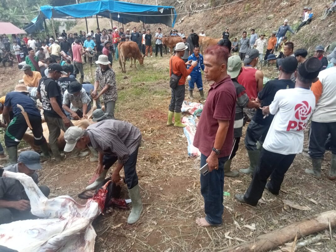 Kegiatan penyelenggaraan penyembelihan hewan kurban di nagari supayang