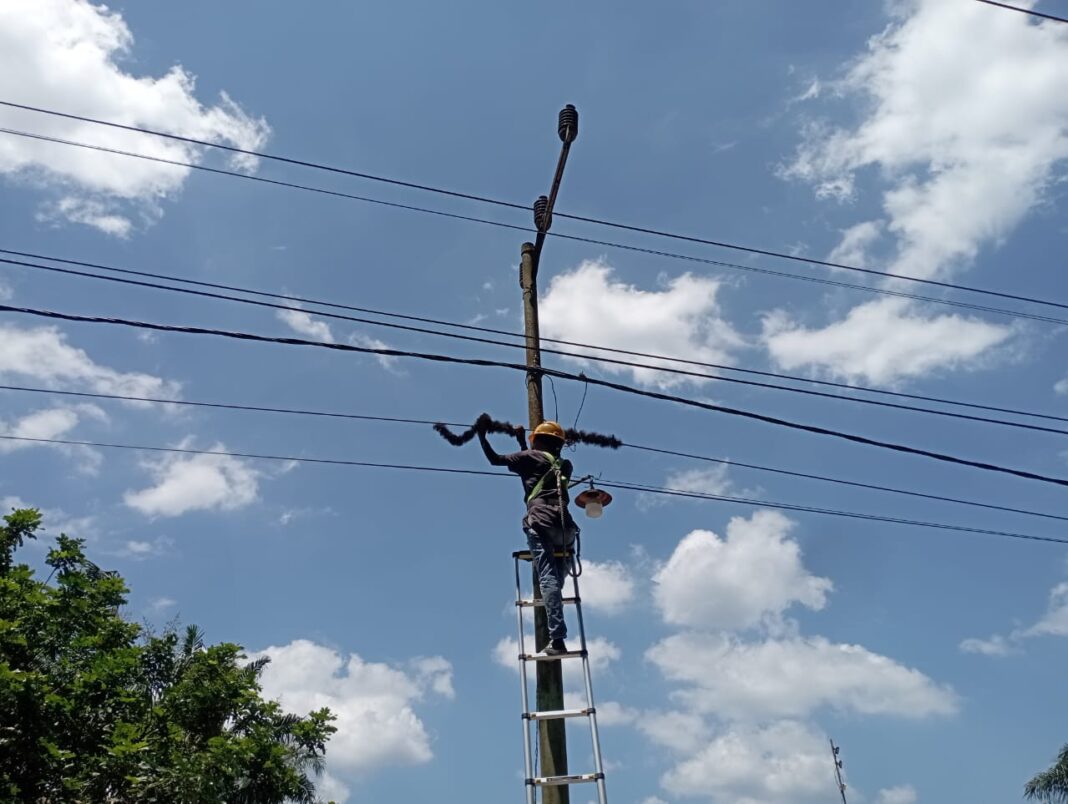 Upaya Menjaga Keandalan Jaringan, PLN Icon Plus Lakukan Pemeliharaan Infrastruktur Telekomunikasi di Wilayah Sungai Apit