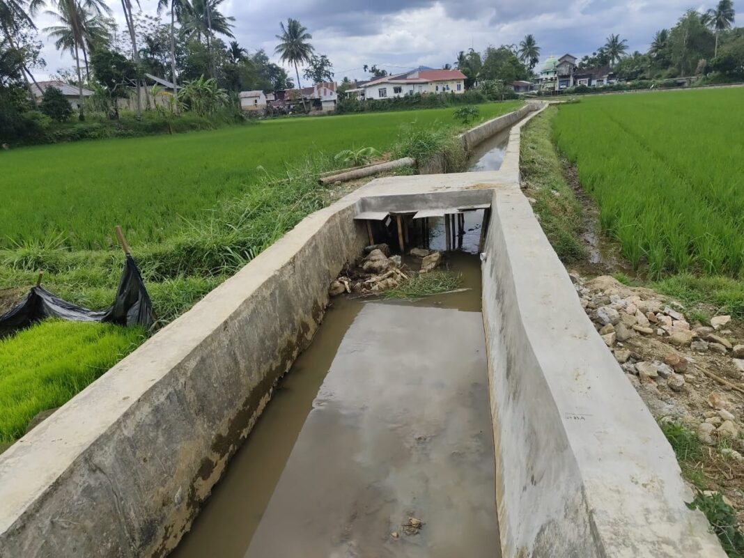 Petani Kelurahan Padang Tangah Payobadar Sambut Gembira ,Pekerjaan Irigasi Bandar Rawang Rampung