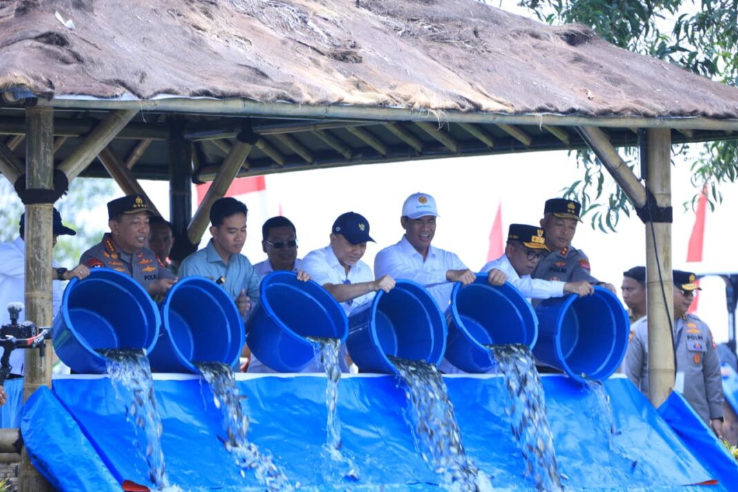 4B89C217-4441-4C13-B993-ABAAC4D4DDC4