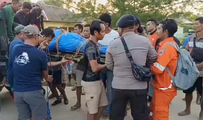 8a772754-f7b2-4a02-ab58-768ba9ab2b5d